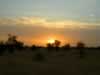 Solnedgång på savannen i Mali