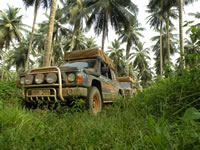 Nissan Patrol i djungeln